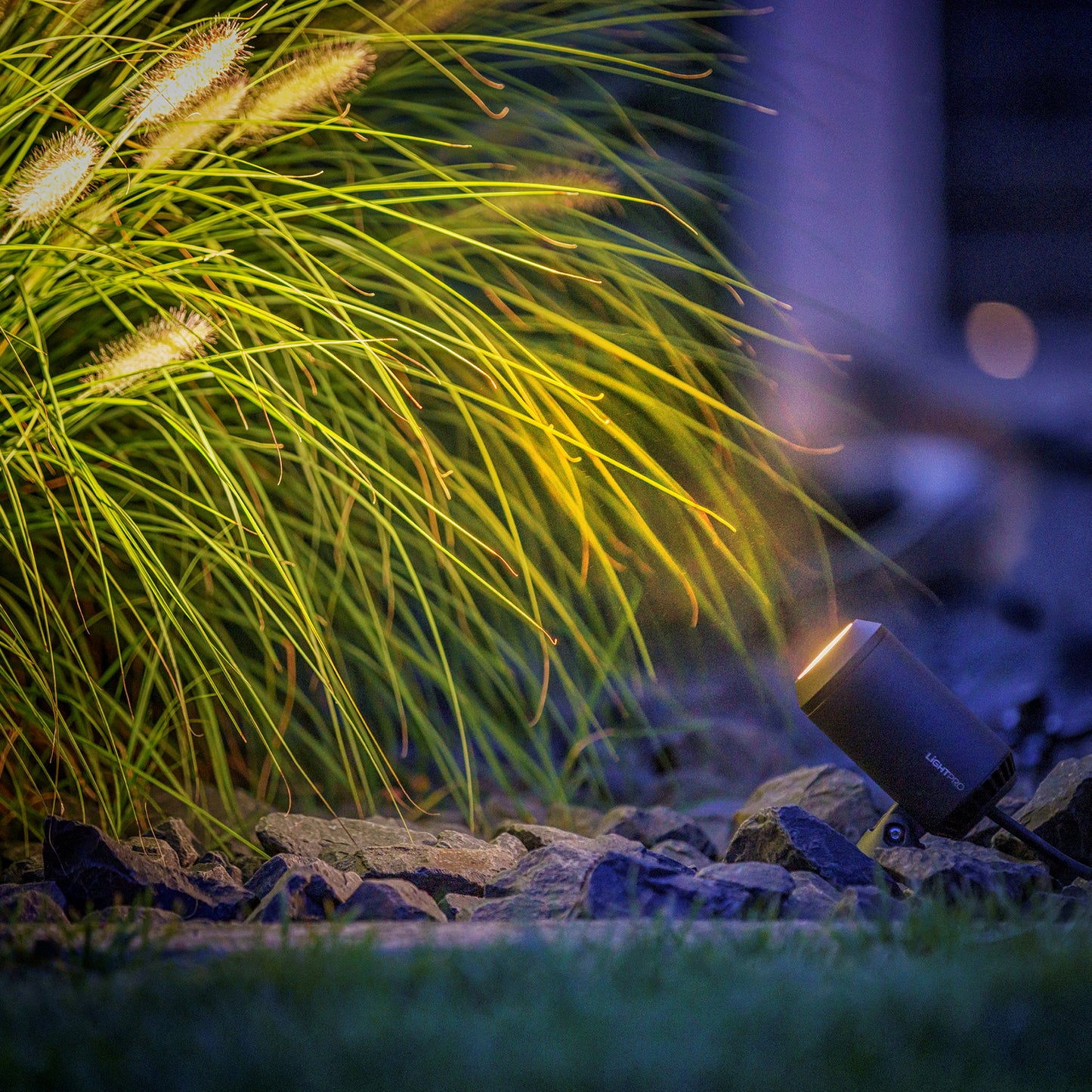 detailimage_003