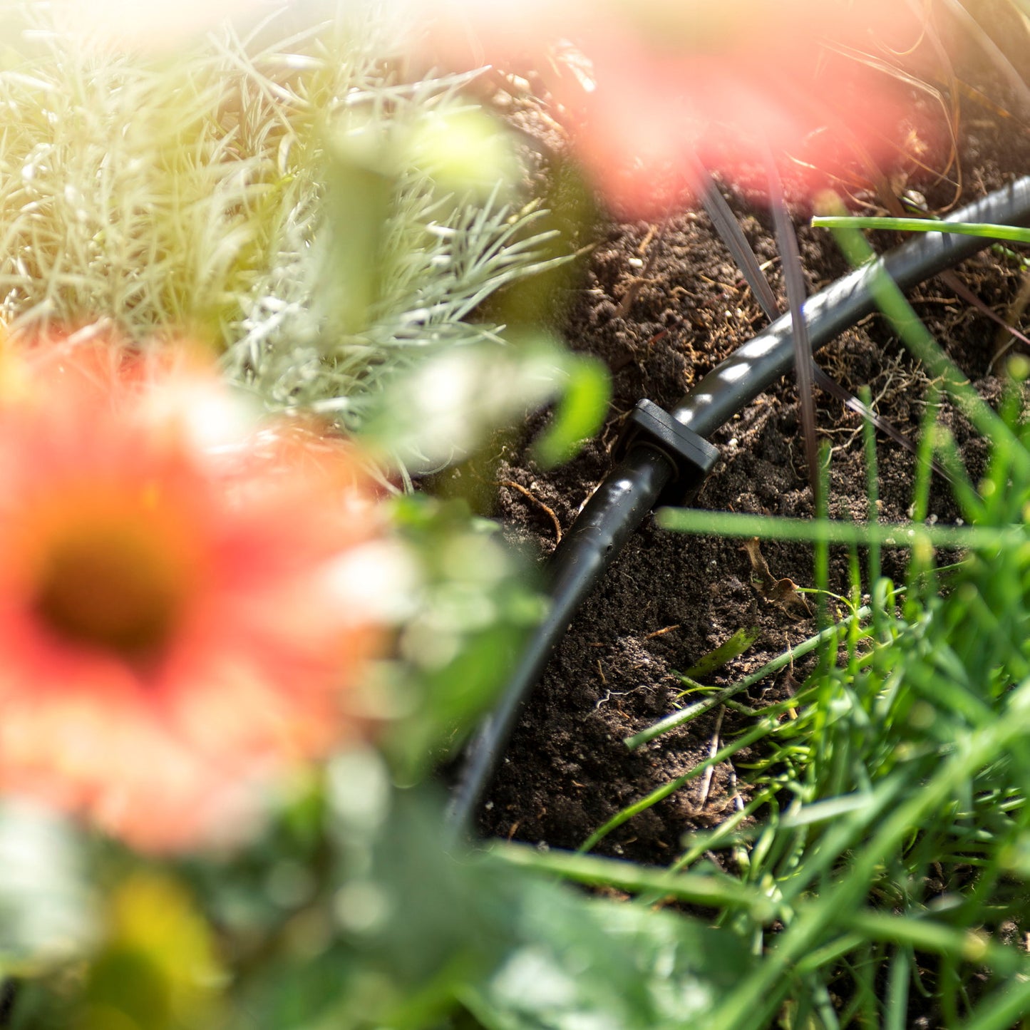 SummerRain drip irrigation set, l = 25 m