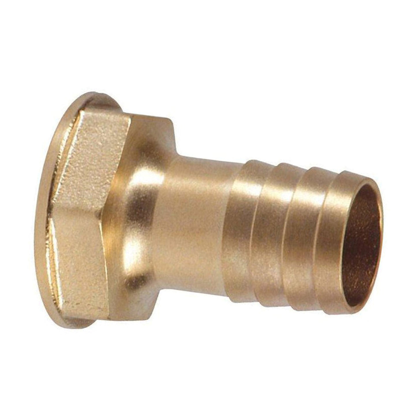 Conector de manguera RIV, latón, tipo 3101, 1 rosca hembra, 2" x 50 mm