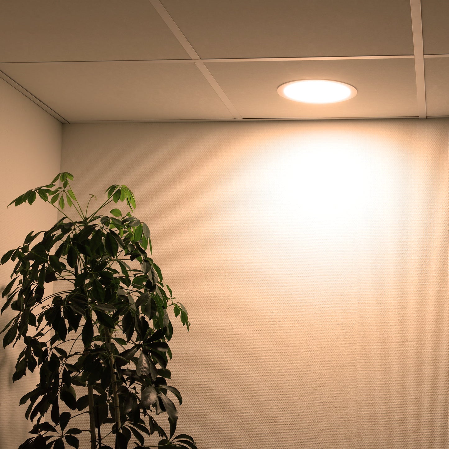 detailimage_005