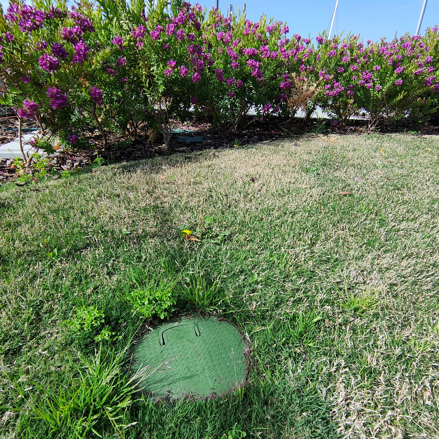 Rain ground pit, type PZCM 25, green/black, d = 253 mm, h = 261 mm