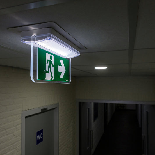 Iluminación de emergencia, orientación y vías de escape Adurolight®, Arno, 230 V, 3 W, duración de la batería 2 horas